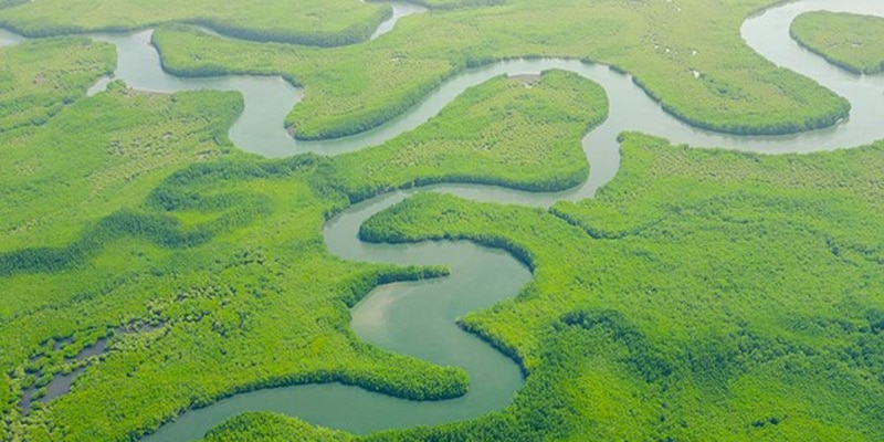 art students look at paint samples at the Dow Exposure station